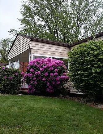 3rd image of 125 Ward Dr