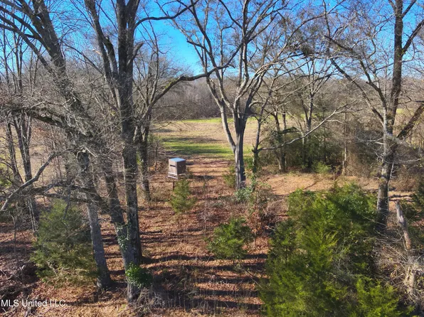 579 Black Jack Rd, Vaughan, MS 39179