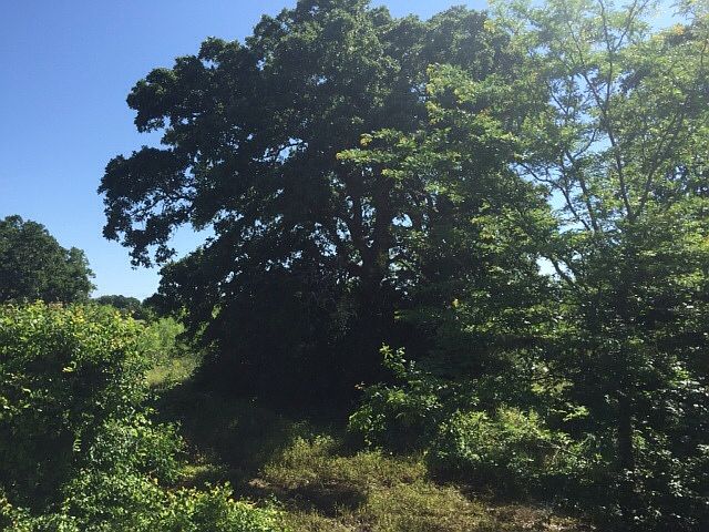 2nd image of 000 Tbd Fm 2104