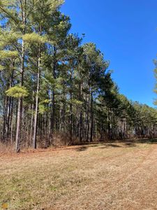 TRACT 16 Indian Creek Rd, Madison, GA, 30650