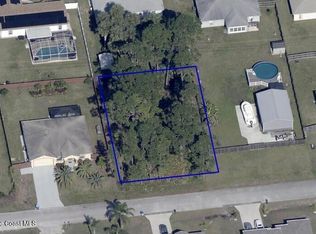1343 Schneider St SW, Palm Bay, FL 32908