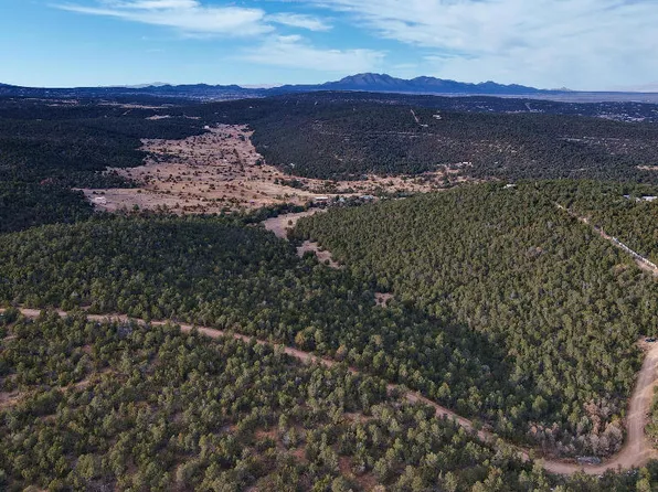 166 McComb Rd, Edgewood, NM 87015