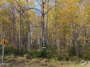L6a S Baroness Ln, Palmer, AK 99645