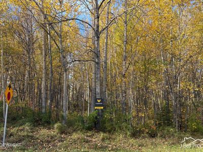 L6a S Baroness Ln, Palmer, AK, 99645