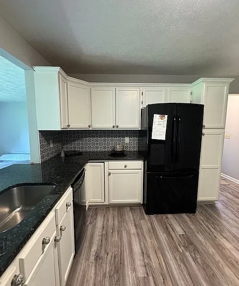1003 Rural Ridge Dr — Photo 9