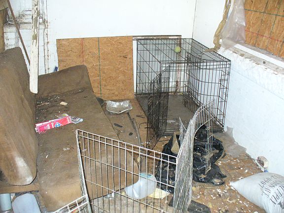 3rd image of 212 W Abbottsford Ave