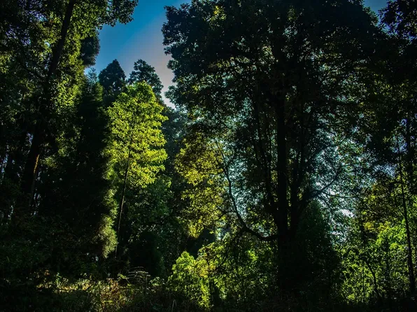 B Th St, Stoughton, MA 02072