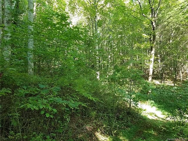 2nd image of 00 Georges Fork Rd #4