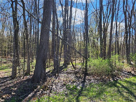 2nd image of Straub Rd Lot 14
