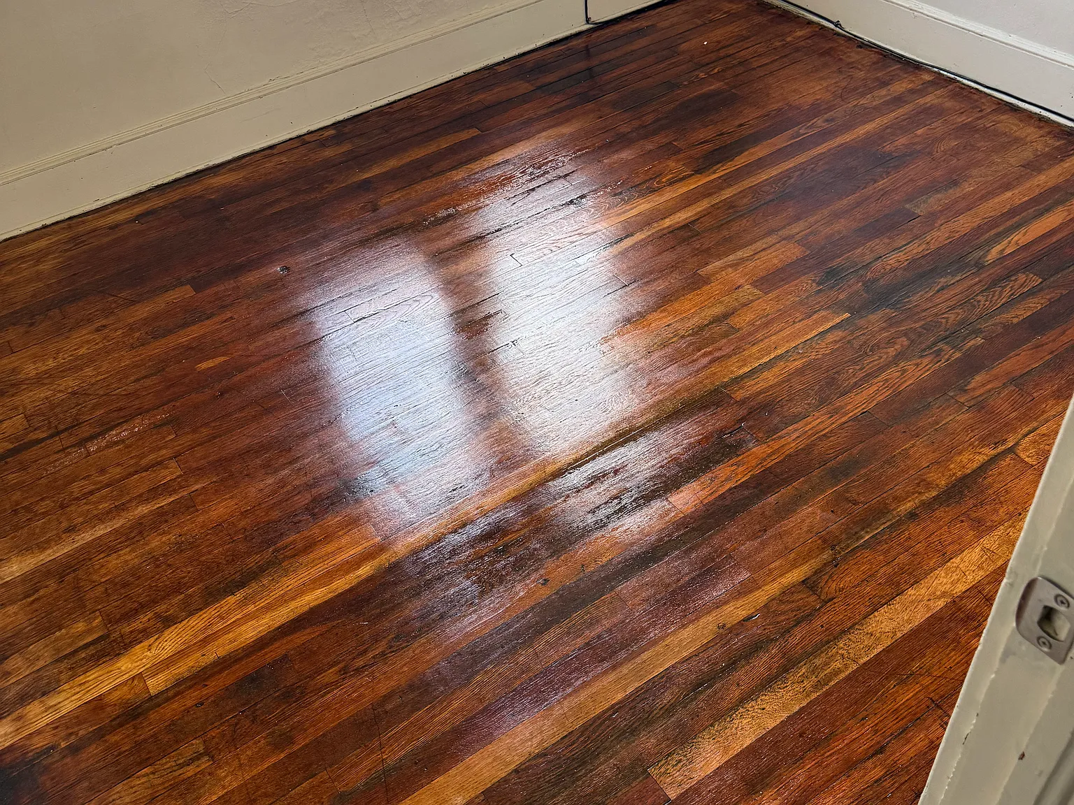 3 bed, $1,250 — Photo 4