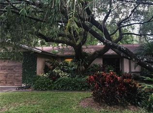 817 Ambassador Loop, Tampa, FL 33613