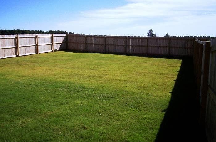 privacy fenced backyard