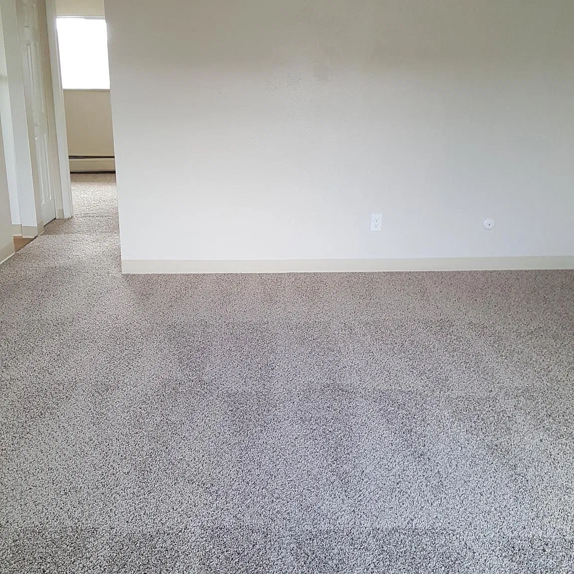 1 bed, 700 sqft, $1,100 — Photo 4
