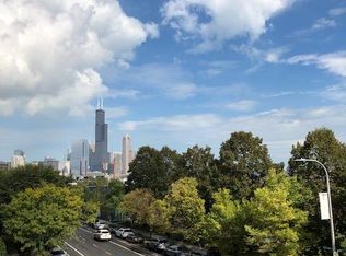 1244 S Blue Island Ave UNIT 302, Chicago, IL 60608