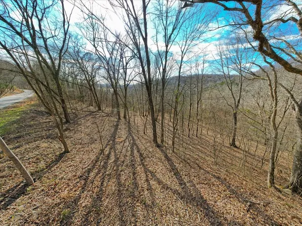 0 Harbor Pointe Dr Lot 25, Silver Pt, TN 38582