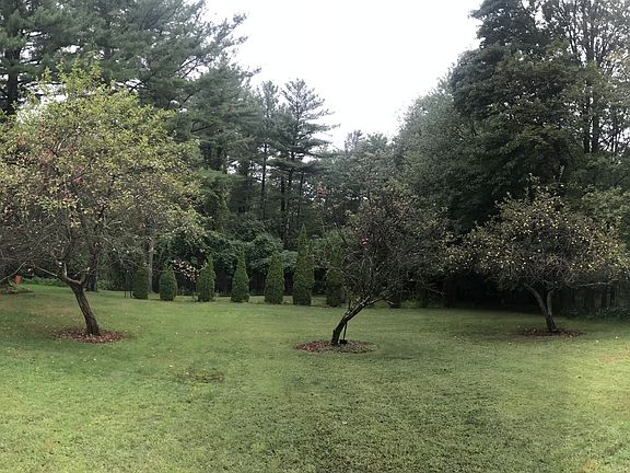 Backyard W/fruit trees