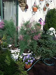 Sold by Dwell Residential Inc