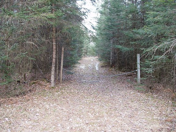 5th image of On Sugar Bush Road