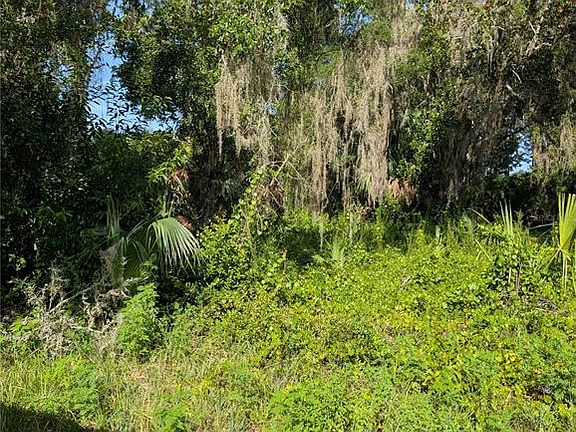 2nd image of 6650 N BEECHNUT LOOP LOT 5