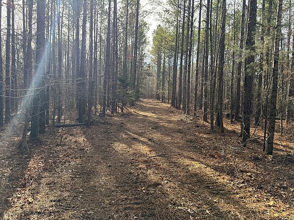 Photo Jan 01 2026 1 00 18 Pm