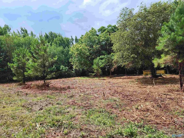 106 Honea Rd, Hazel Green, AL 35750