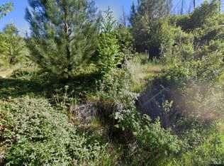 11071 Hot Springs Rd, Middletown, CA 95461