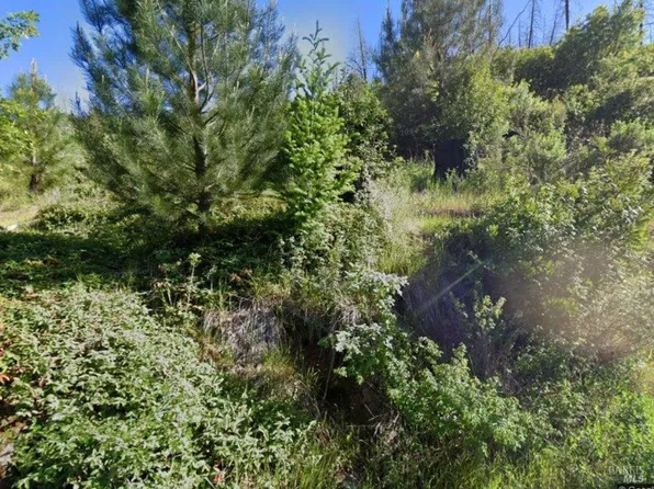 11071 Hot Springs Rd, Middletown, CA 95461