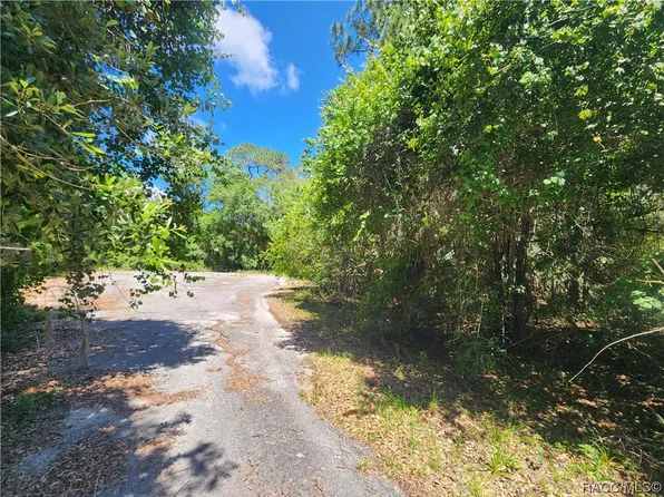 13562 W Trefoil Ct, Crystal River, FL 34428