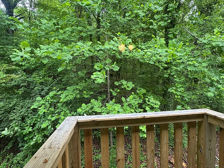 Balcony off master