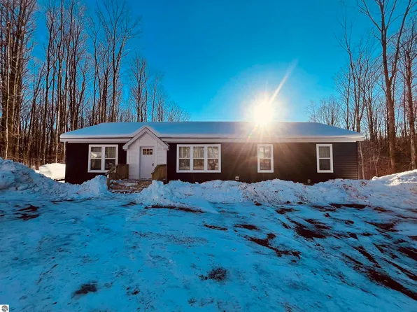 4375 Antioch Dr, Mesick, MI 49668