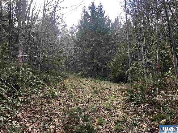 4th image of Nka Spotted Owl Laneparcel #1
