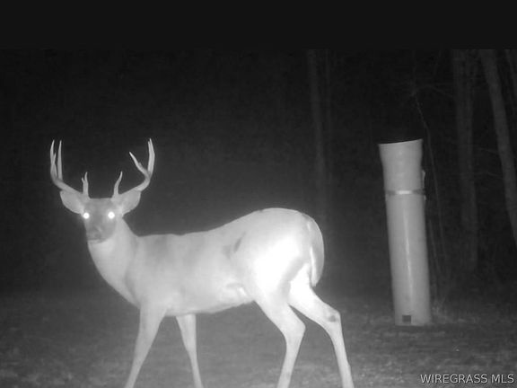 3rd image of 610 County Road 206