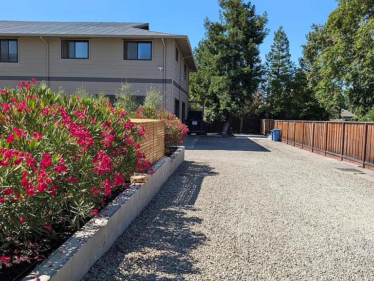 Noble Oaks Ln — Photo 8