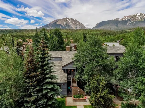 101 Blue Grouse Ln #D, Silverthorne, CO 80498