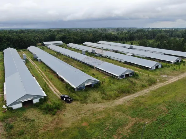 0 Shrouder Rd, Broxton, GA 31519