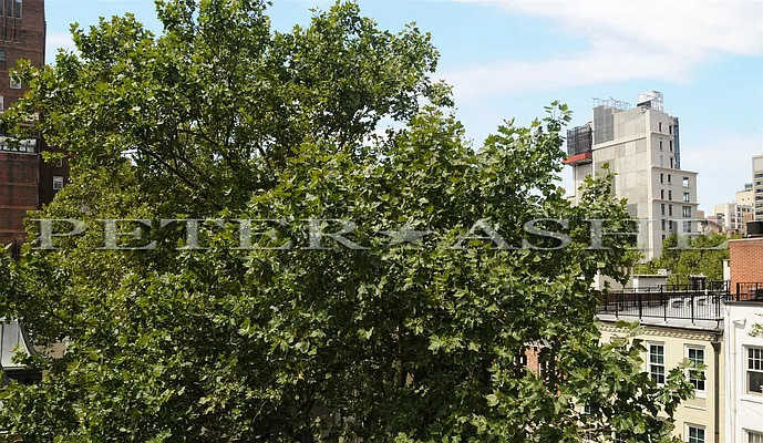 Rented by Peter Ashe | media 48