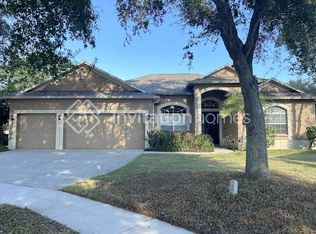 2813 Abbey Grove Dr, Valrico, FL 33594