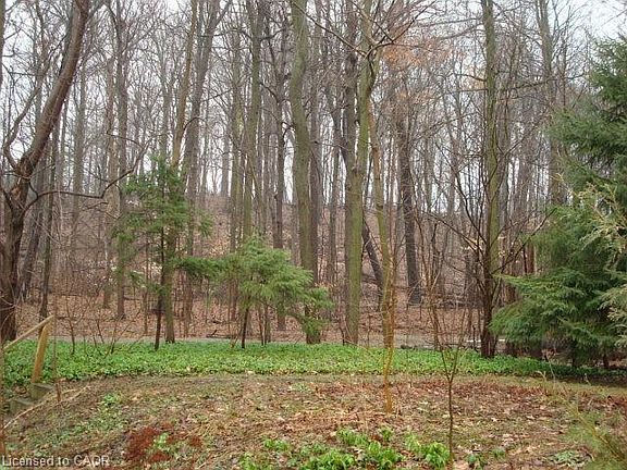 4th image of 135 Glenforest Rd