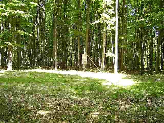 2nd image of 1915 Forest Ridge Trl
