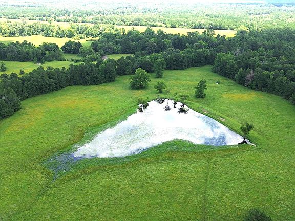 5th image of 2068 County Road 3455
