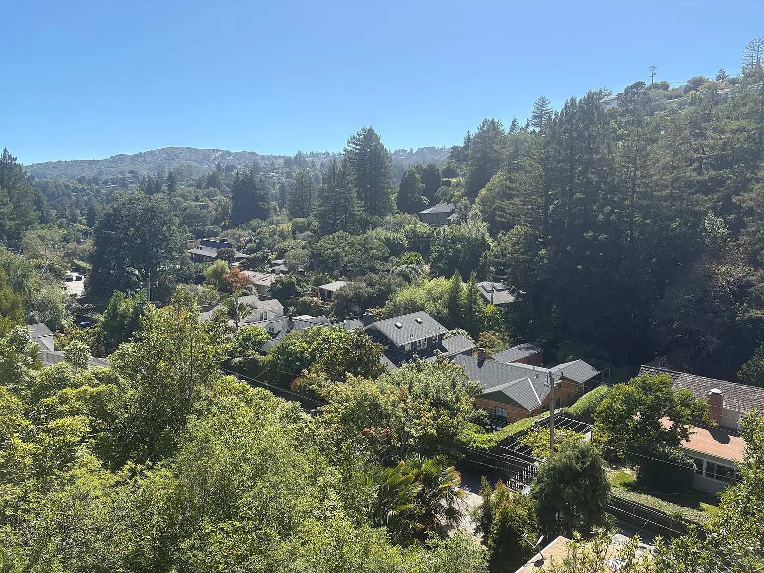Marlin Ave, Mill Valley — Photo 4