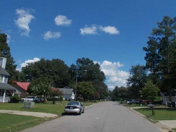 5th image of 546 Palm Dr S