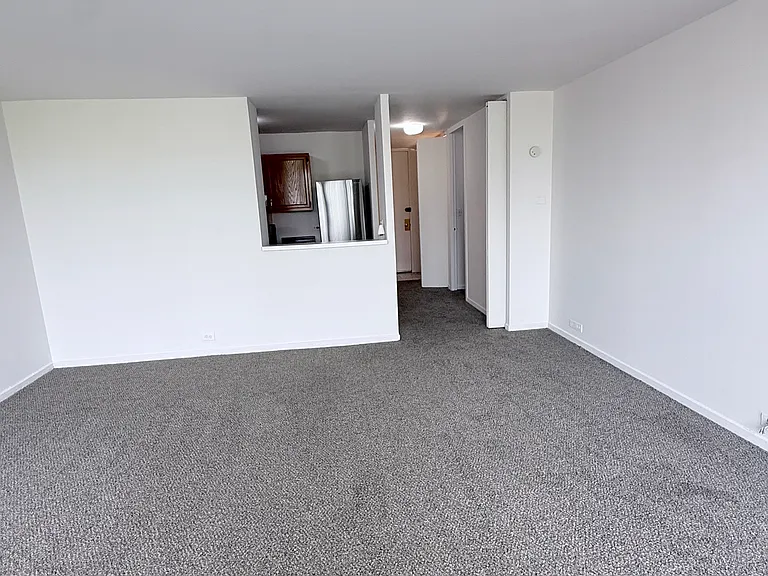 2901 S Michigan Ave #208 — Photo 3