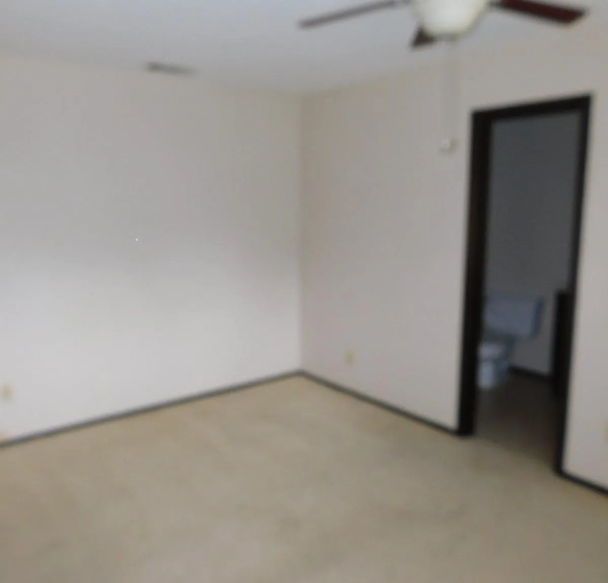 3 bed, 2.0 bath, 1203 sqft, $1,900 — Photo 2