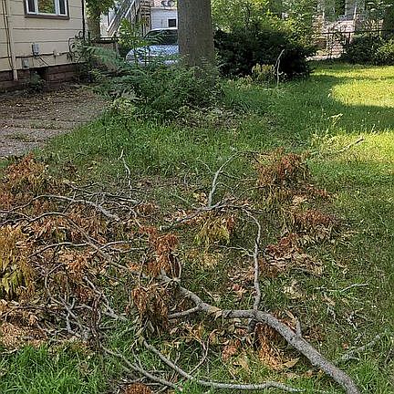 5th image of this home