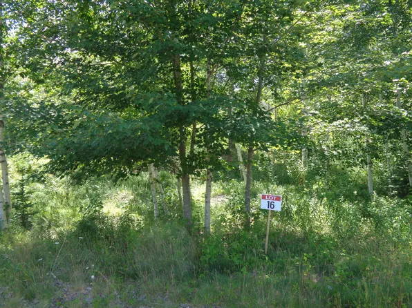 Lot 16 Bailey Mountain Road, Franklin, ME 04634