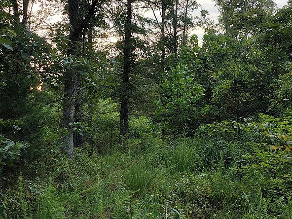 5th image of 000 County Road 150