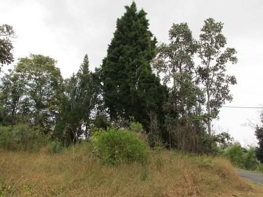 2nd image of Orchid Pkwy Lot 29