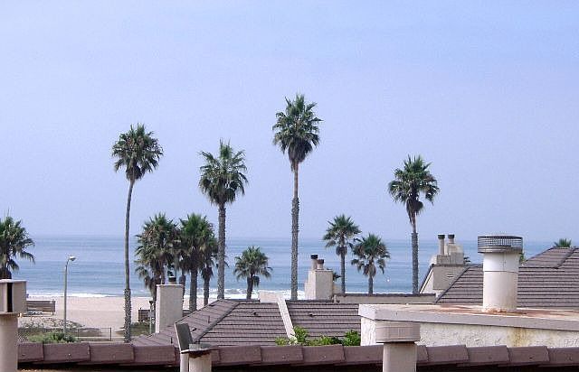 View From Living Room 