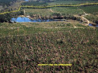 0 Moonlight Rd, Williston, SC 29853